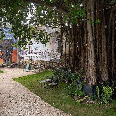 La Quinta Caribena Apartment Playa del Carmen Exterior photo